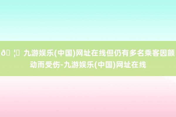 🦄九游娱乐(中国)网址在线但仍有多名乘客因颤动而受伤-九游娱乐(中国)网址在线