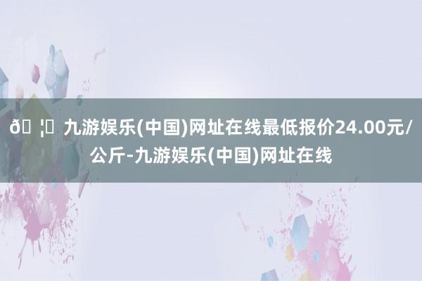 🦄九游娱乐(中国)网址在线最低报价24.00元/公斤-九游娱乐(中国)网址在线