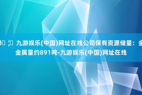 🦄九游娱乐(中国)网址在线公司保有资源储量：金金属量约891吨-九游娱乐(中国)网址在线