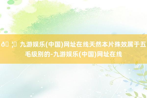 🦄九游娱乐(中国)网址在线天然本片殊效属于五毛级别的-九游娱乐(中国)网址在线