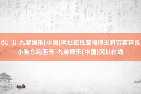 🦄九游娱乐(中国)网址在线宠物博主将带着精灵小狗东跑西奔-九游娱乐(中国)网址在线