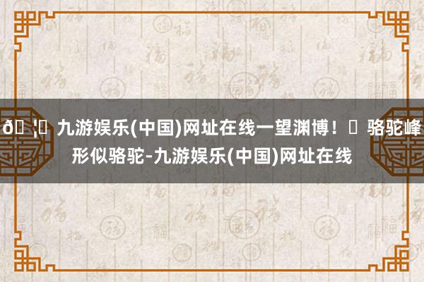 🦄九游娱乐(中国)网址在线一望渊博！✔骆驼峰形似骆驼-九游娱乐(中国)网址在线