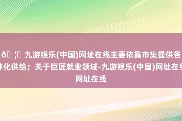 🦄九游娱乐(中国)网址在线主要依靠市集提供各种化供给；关于巨匠就业领域-九游娱乐(中国)网址在线