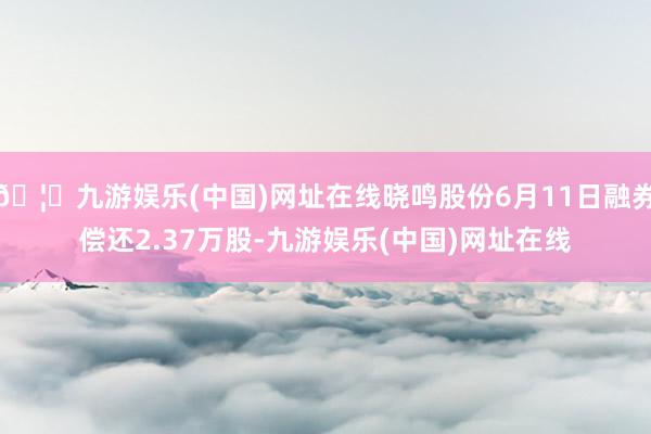 🦄九游娱乐(中国)网址在线晓鸣股份6月11日融券偿还2.37万股-九游娱乐(中国)网址在线