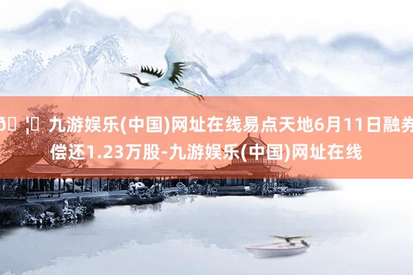 🦄九游娱乐(中国)网址在线易点天地6月11日融券偿还1.23万股-九游娱乐(中国)网址在线