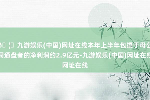 🦄九游娱乐(中国)网址在线本年上半年包摄于母公司通盘者的净利润约2.9亿元-九游娱乐(中国)网址在线