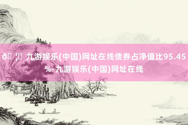 🦄九游娱乐(中国)网址在线债券占净值比95.45%-九游娱乐(中国)网址在线