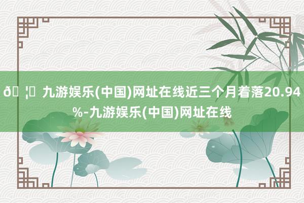 🦄九游娱乐(中国)网址在线近三个月着落20.94%-九游娱乐(中国)网址在线