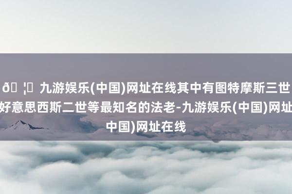 🦄九游娱乐(中国)网址在线其中有图特摩斯三世、拉好意思西斯二世等最知名的法老-九游娱乐(中国)网址在线