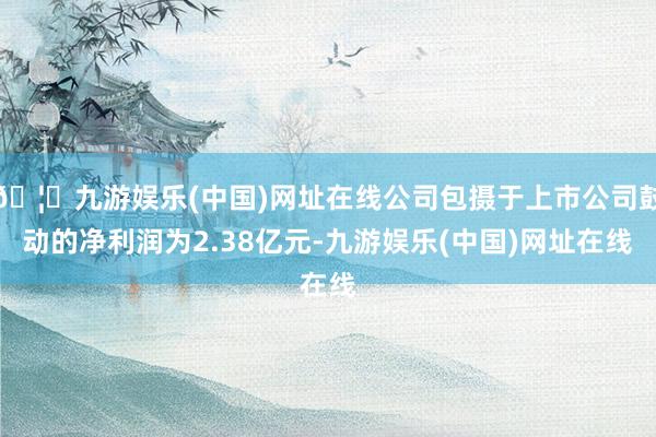 🦄九游娱乐(中国)网址在线公司包摄于上市公司鼓动的净利润为2.38亿元-九游娱乐(中国)网址在线