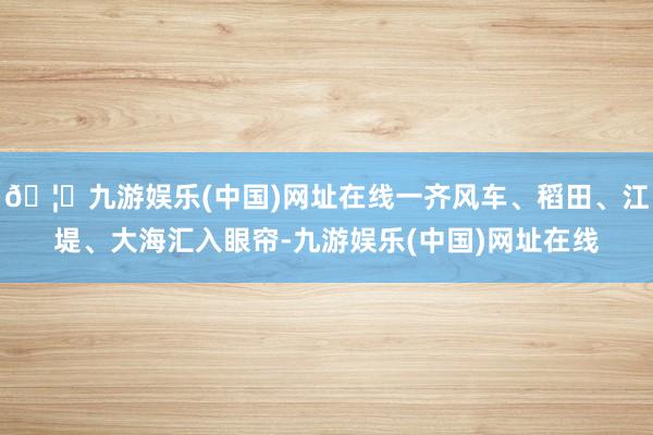 🦄九游娱乐(中国)网址在线一齐风车、稻田、江堤、大海汇入眼帘-九游娱乐(中国)网址在线