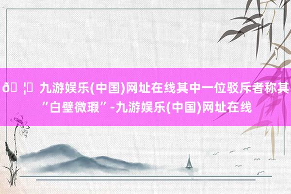 🦄九游娱乐(中国)网址在线其中一位驳斥者称其“白壁微瑕”-九游娱乐(中国)网址在线