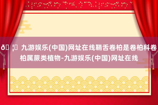 🦄九游娱乐(中国)网址在线鞘舌卷柏是卷柏科卷柏属蕨类植物-九游娱乐(中国)网址在线