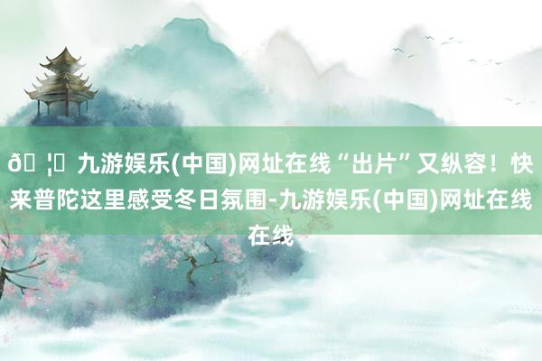 🦄九游娱乐(中国)网址在线“出片”又纵容！快来普陀这里感受冬日氛围-九游娱乐(中国)网址在线