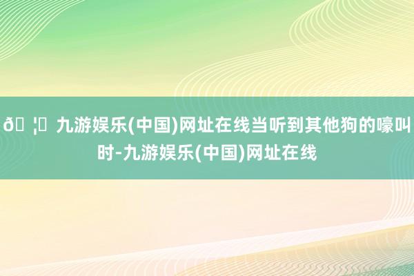 🦄九游娱乐(中国)网址在线当听到其他狗的嚎叫时-九游娱乐(中国)网址在线