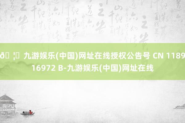 🦄九游娱乐(中国)网址在线授权公告号 CN 118916972 B-九游娱乐(中国)网址在线