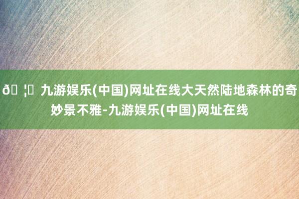 🦄九游娱乐(中国)网址在线大天然陆地森林的奇妙景不雅-九游娱乐(中国)网址在线