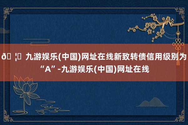 🦄九游娱乐(中国)网址在线新致转债信用级别为“A”-九游娱乐(中国)网址在线