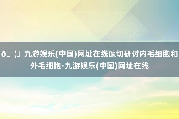 🦄九游娱乐(中国)网址在线深切研讨内毛细胞和外毛细胞-九游娱乐(中国)网址在线